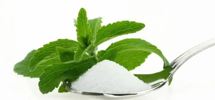 Článek S přírodním sladidlem Natusweet Stevia se nemusíte vzdát sladké dobroty.