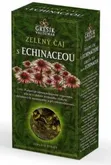 Grešík Zelený čaj s echinaceou 70 g